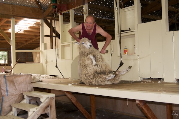 New Zealand 09 10  154